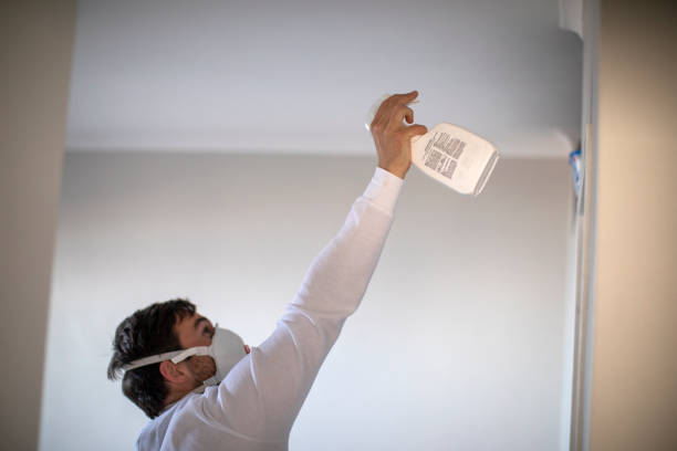 Best Health and Safety Mold Remediation in Maple Grove, MN